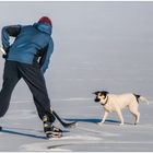 Eishockey