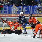 Eishockey DEL