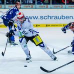 Eishockey - DEL - Iserlohn Roosters - Grizzlys Wolfsburg 10/13