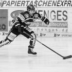 Eishockey - DEL - Iserlohn Roosters - Grizzlys Wolfsburg 12/13