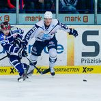 Eishockey - DEL - Iserlohn Roosters - Hamburg Freezers 1/2