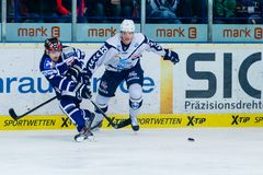 Eishockey - DEL - Iserlohn Roosters - Hamburg Freezers 1/2