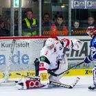 Eishockey - DEL - Iserlohn Roosters - Kölner Haie 2/9