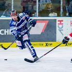 Eishockey - DEL - Iserlohn Roosters - Kölner Haie 8/9