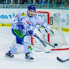 Eishockey - DEL - Iserlohn Roosters - Straubing Tigers 1/4
