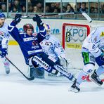 Eishockey - DEL - Iserlohn Roosters - Straubing Tigers 2/4