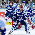 Eishockey - DEL - Iserlohn Roosters - Straubing Tigers 3/4