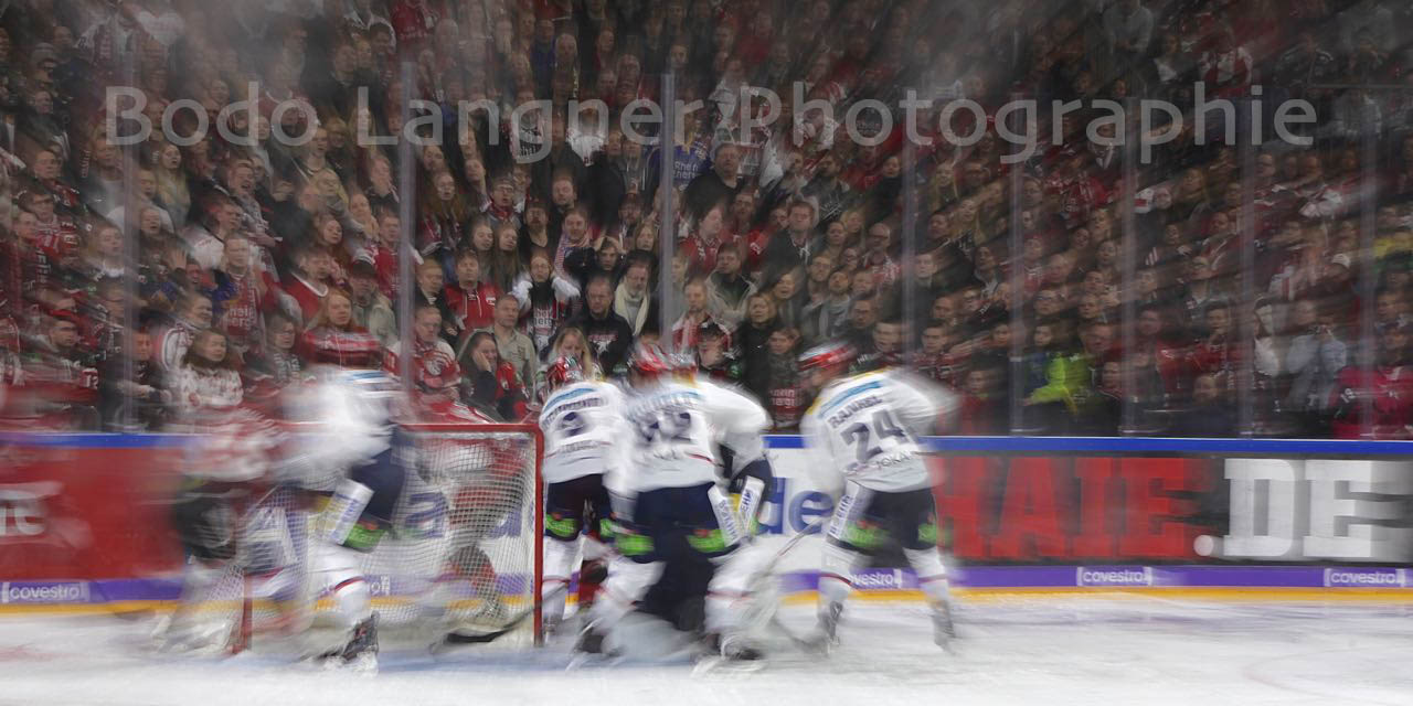 Eishockey - Haie