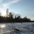 Eishockey in der Natur