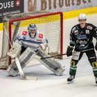 Eishockey Steelers vis. Riessersee