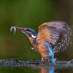 Eisi mit Fisch
