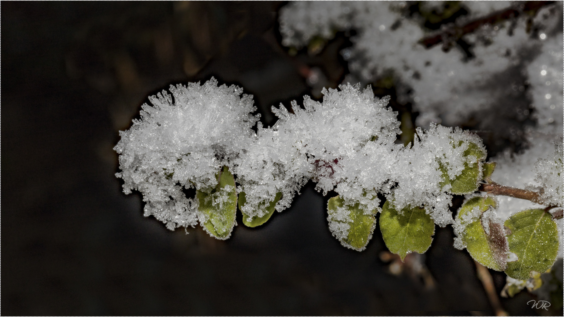 EISIG Foto & Bild art, spezial, makro Bilder auf