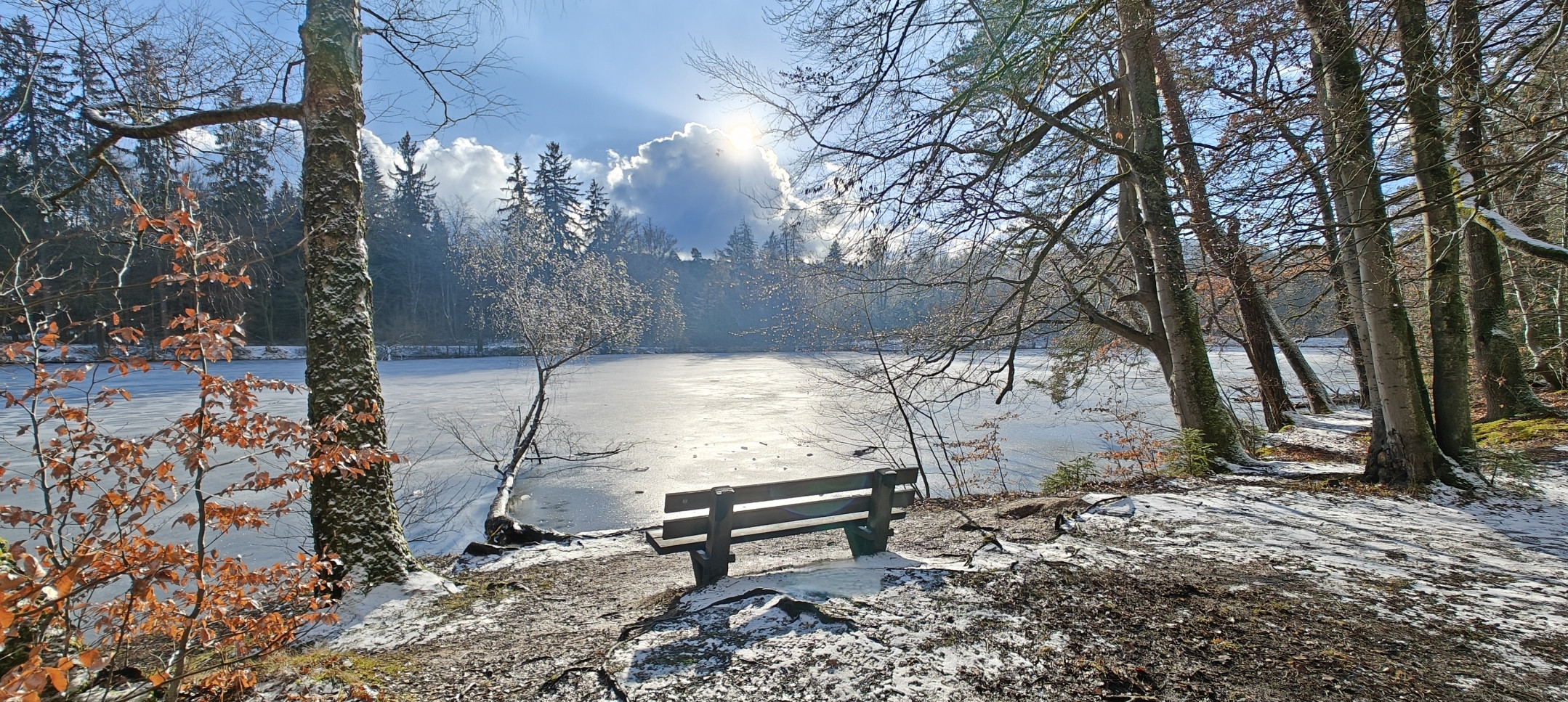 Eisig am Pfaffensee 