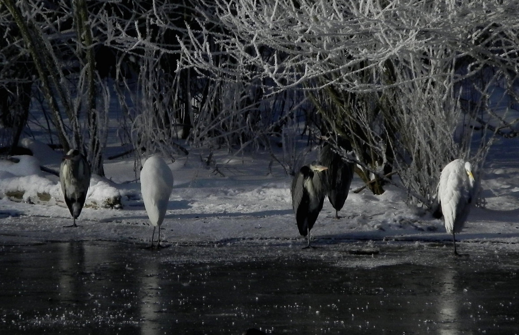 Eisig kalter Wintermorgen