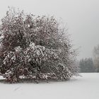 Eisig schön - Ein  frostiger Oktober