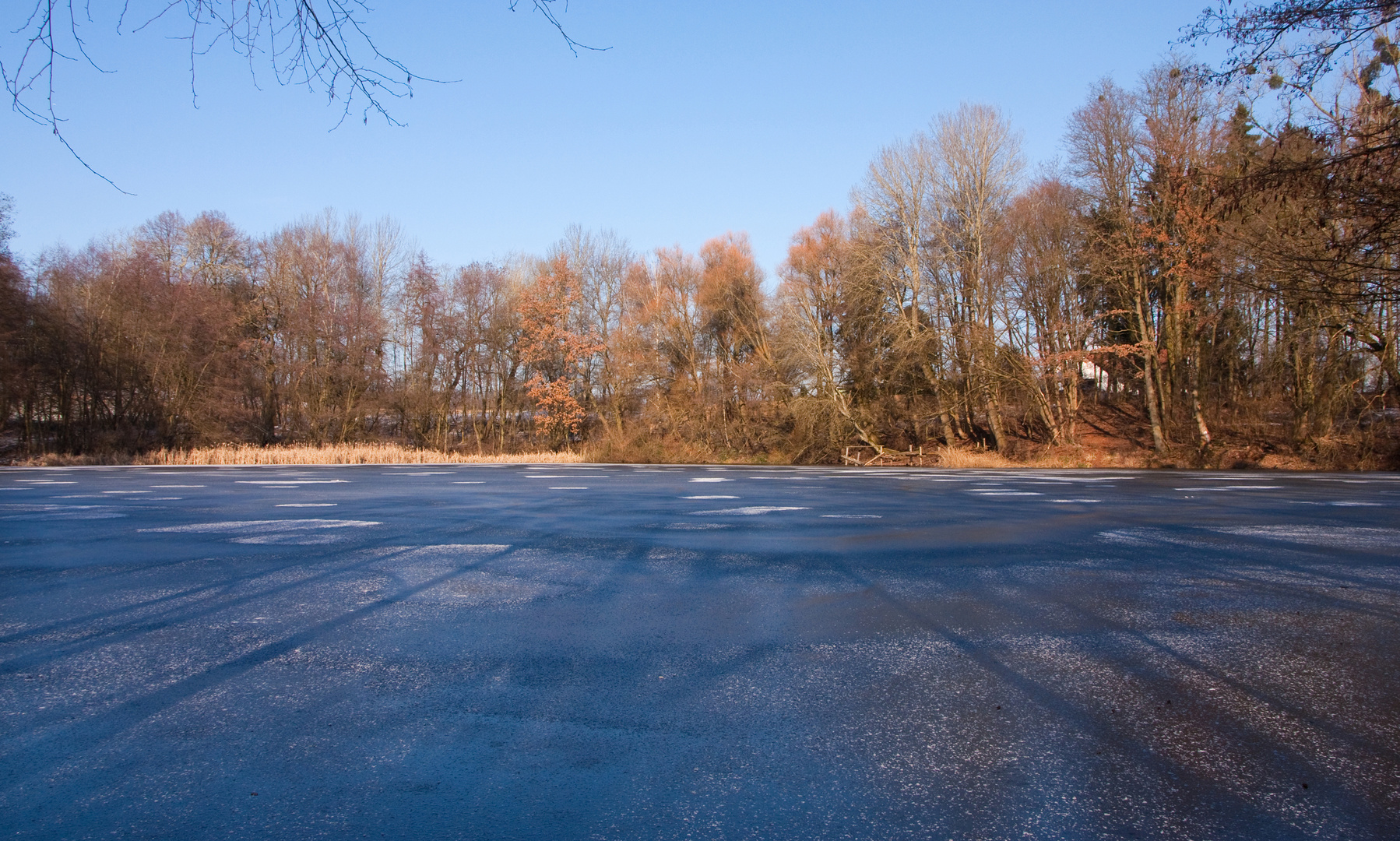 Eisig und kalt - am Bergwerksteich - die 2.)