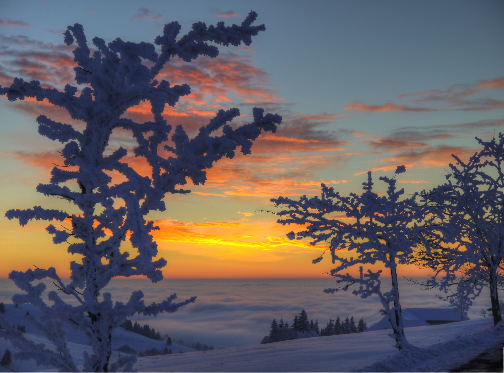 Eisige Abendstimmung auf dem Schauinsland