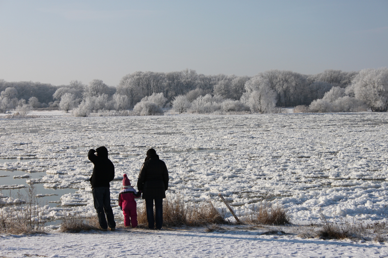 # EISIGE ELBE #