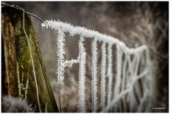 Eisige Grenzbereiche