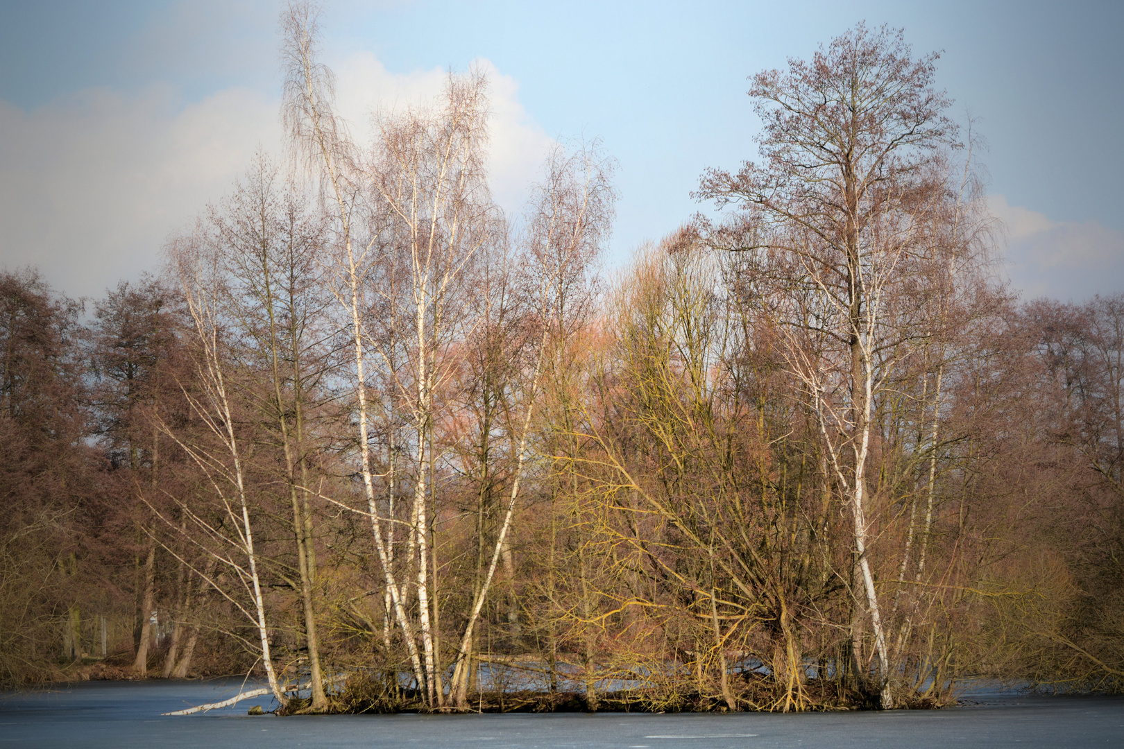 Eisige Kälte am Auerweiher