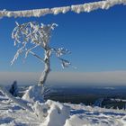 Eisige Kälte und klare Luft