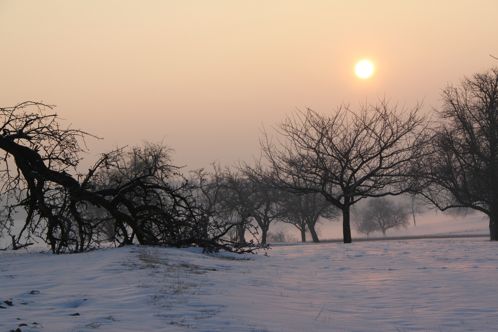 Eisige Morgenstimmung