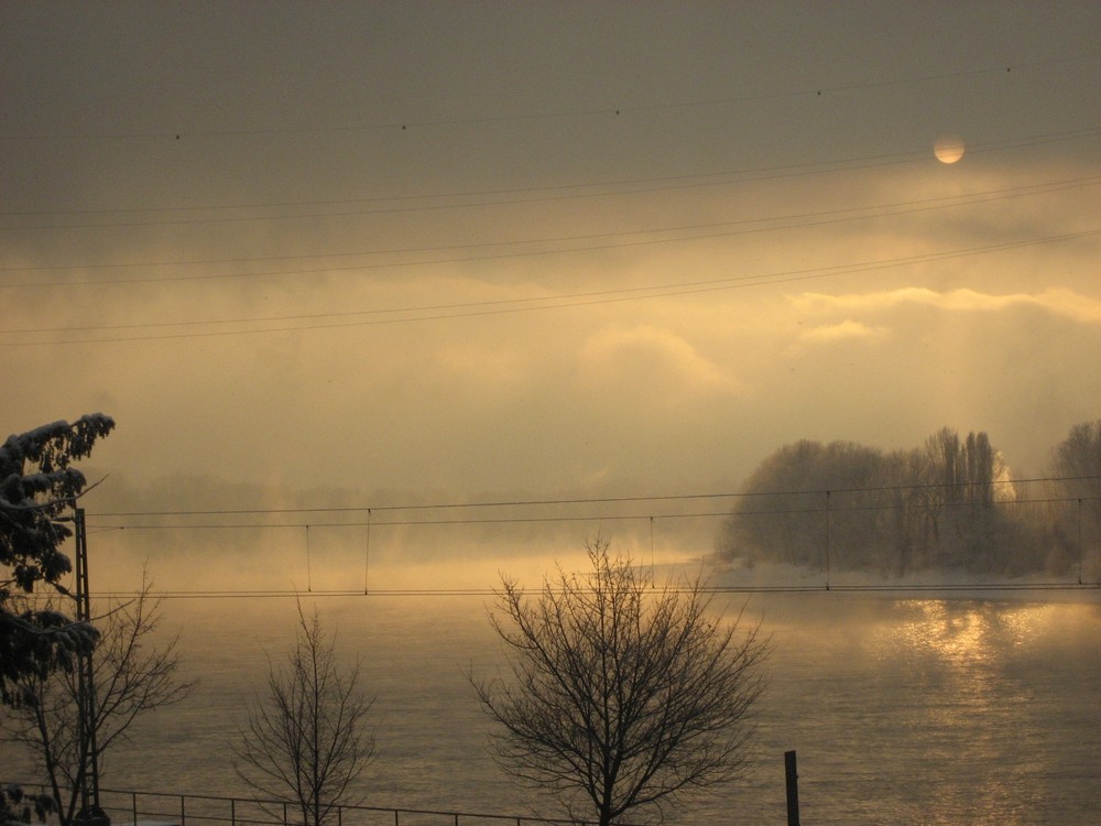 eisige Morgenstimmung am Rhein - 2