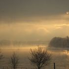 eisige Morgenstimmung am Rhein - 2