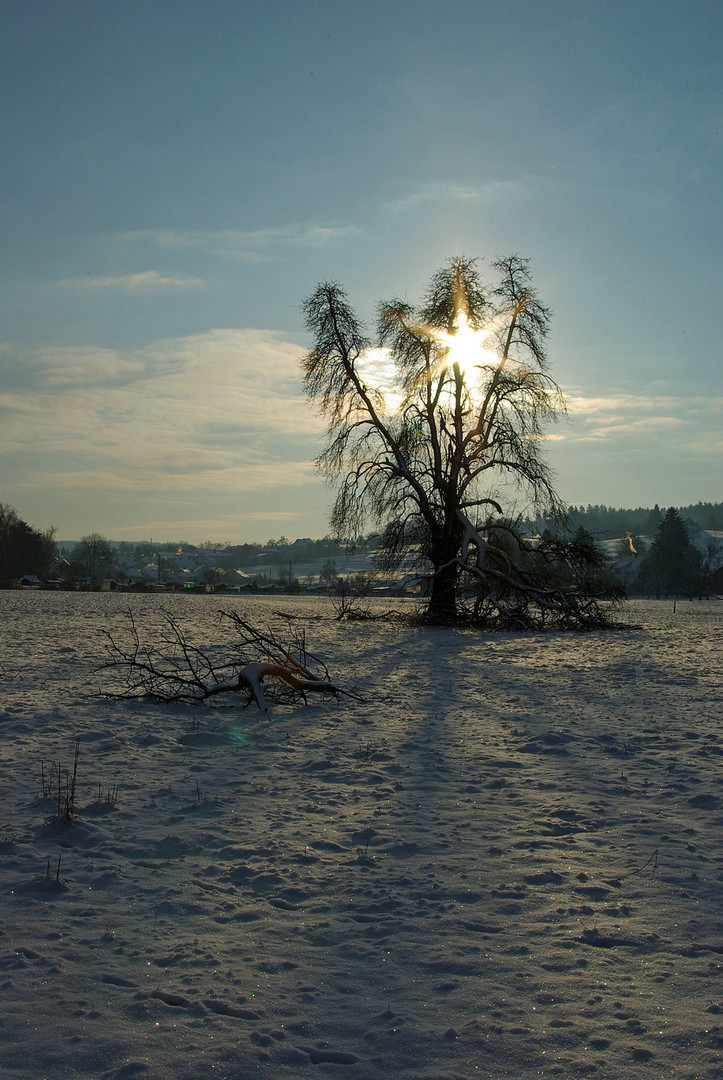 eisige Morgenstunde