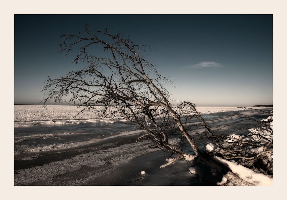 Eisige Ostsee