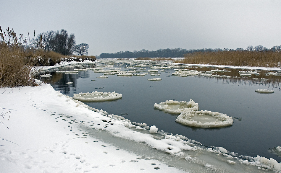 Eisige Pfannkuchen