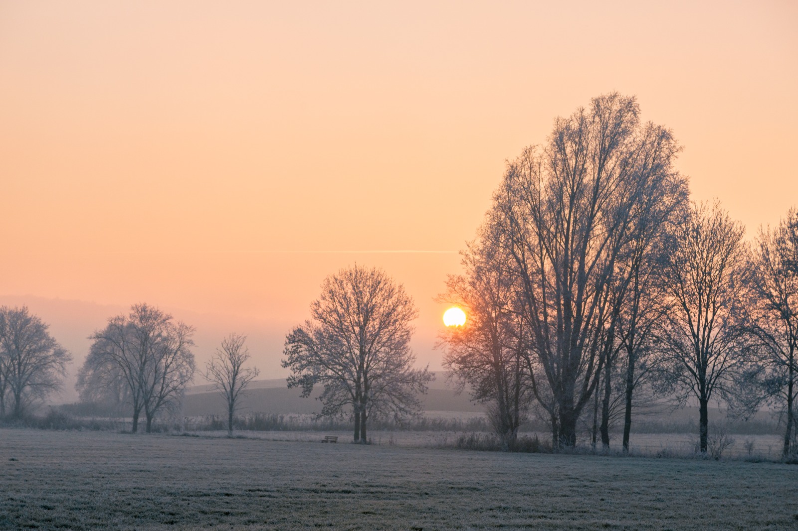 Eisige Sonnenstrahlen 