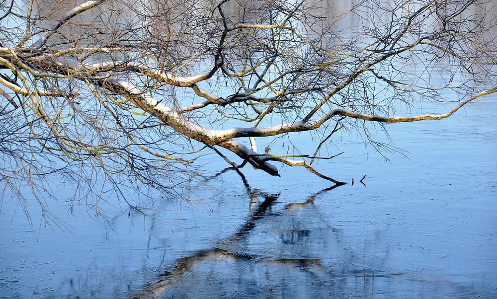 eisige Spiegelei 