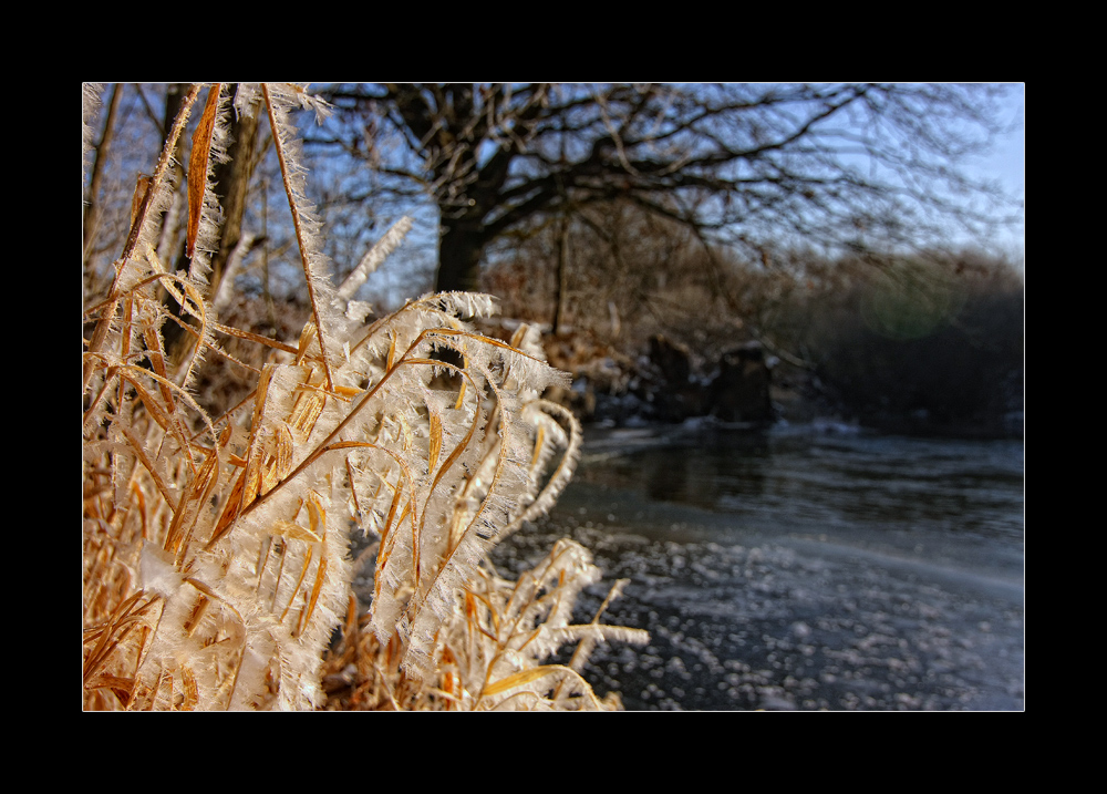 eisige Stimmung am Fluss