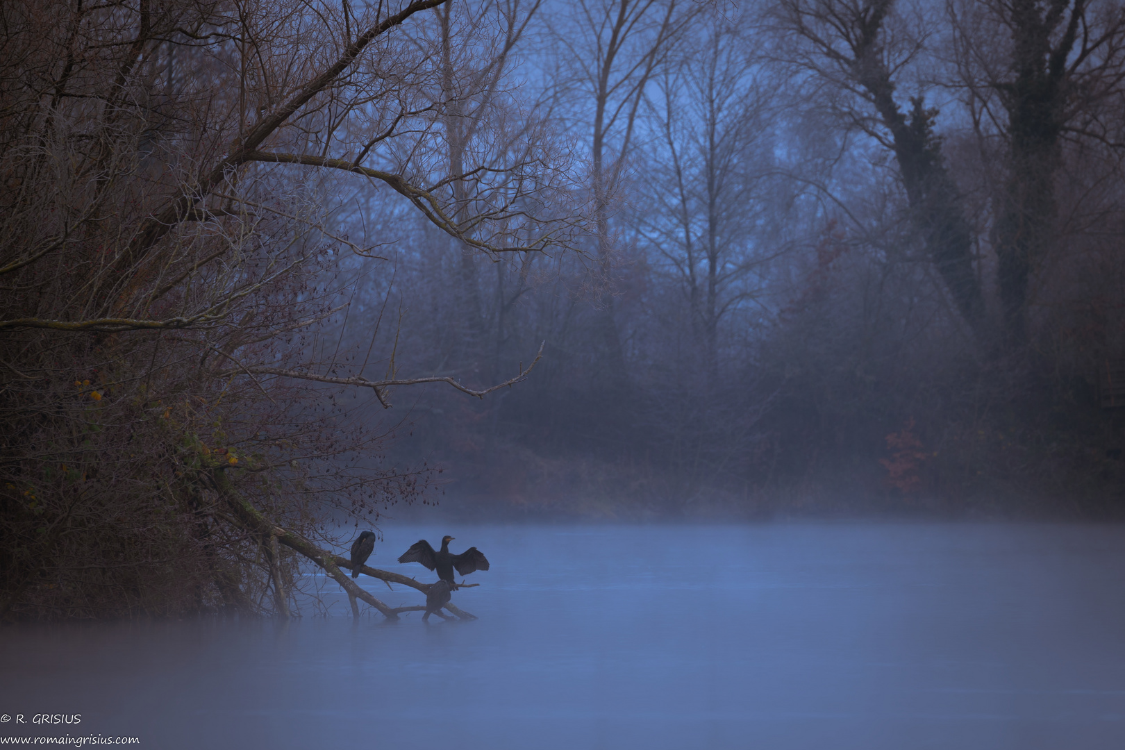 Eisige Stimmung am Weiher