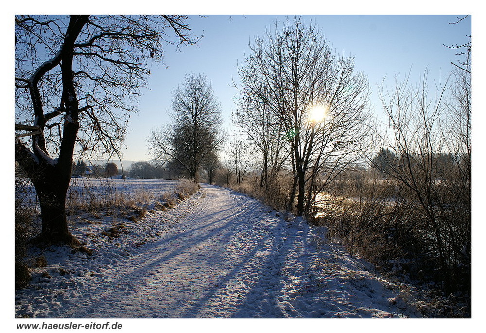 eisige und sonnige Zeiten an der Sieg