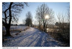 eisige und sonnige Zeiten an der Sieg