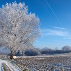 Eisige Winterlandschaft