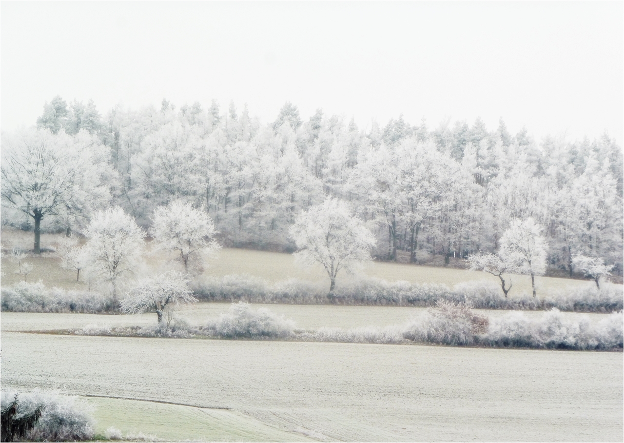 eisige Winterlandschaft