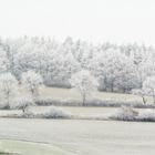 eisige Winterlandschaft