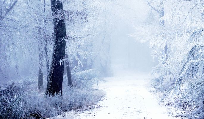 Eisige Winterwelt.....