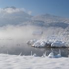 Eisige Zeiten am Kochelsee