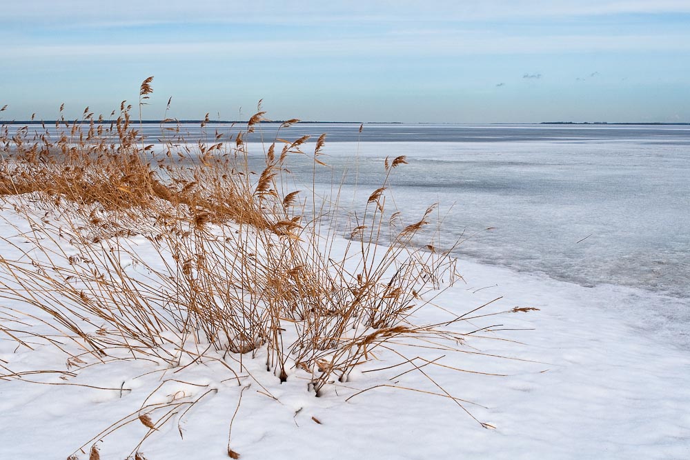 Eisiger Bodden