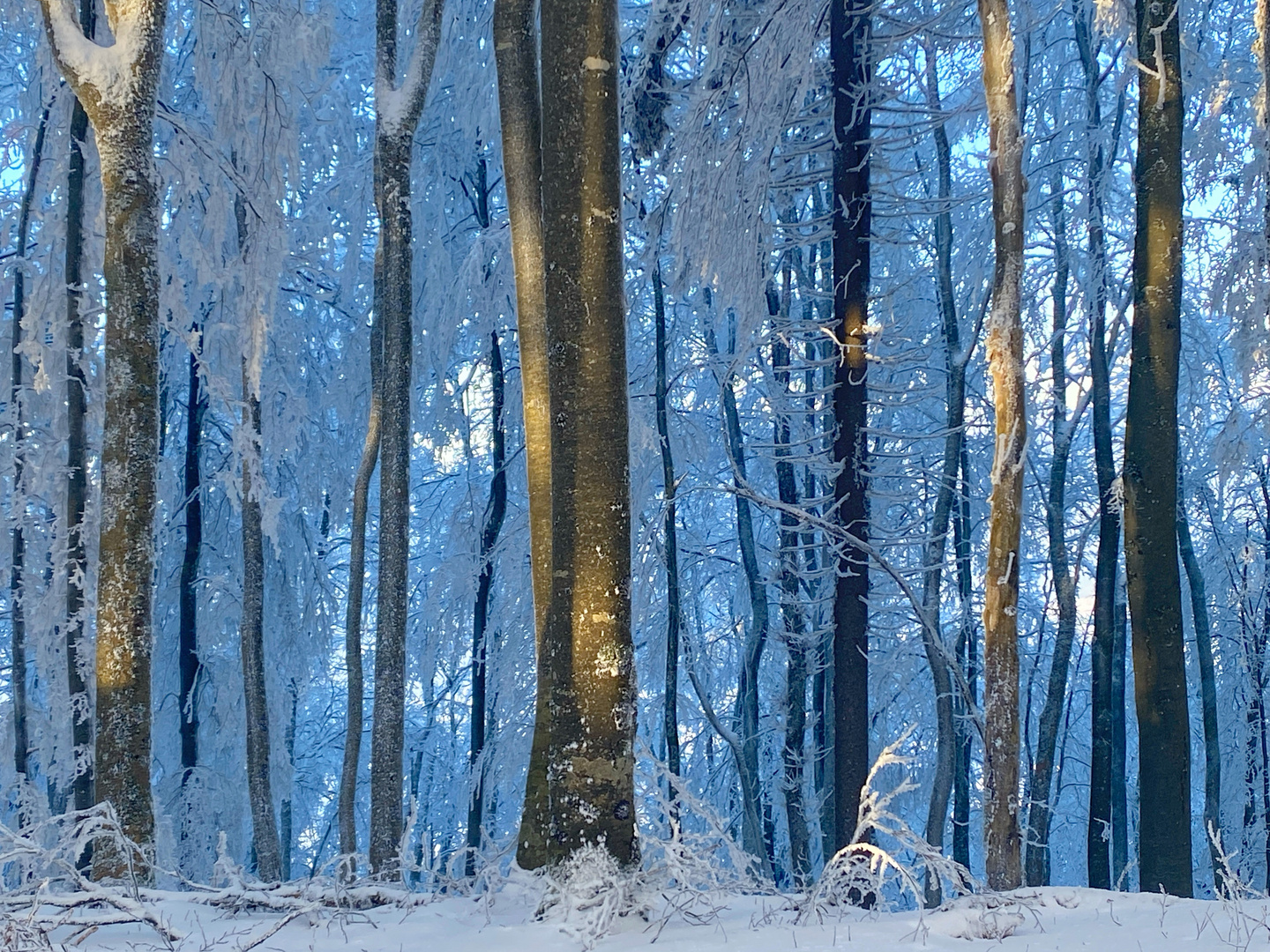 eisiger Durchblick