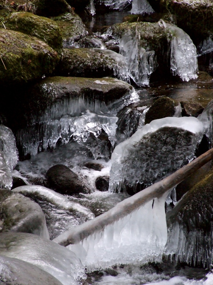 Eisiger Fluß (Triberger Wasserfälle)