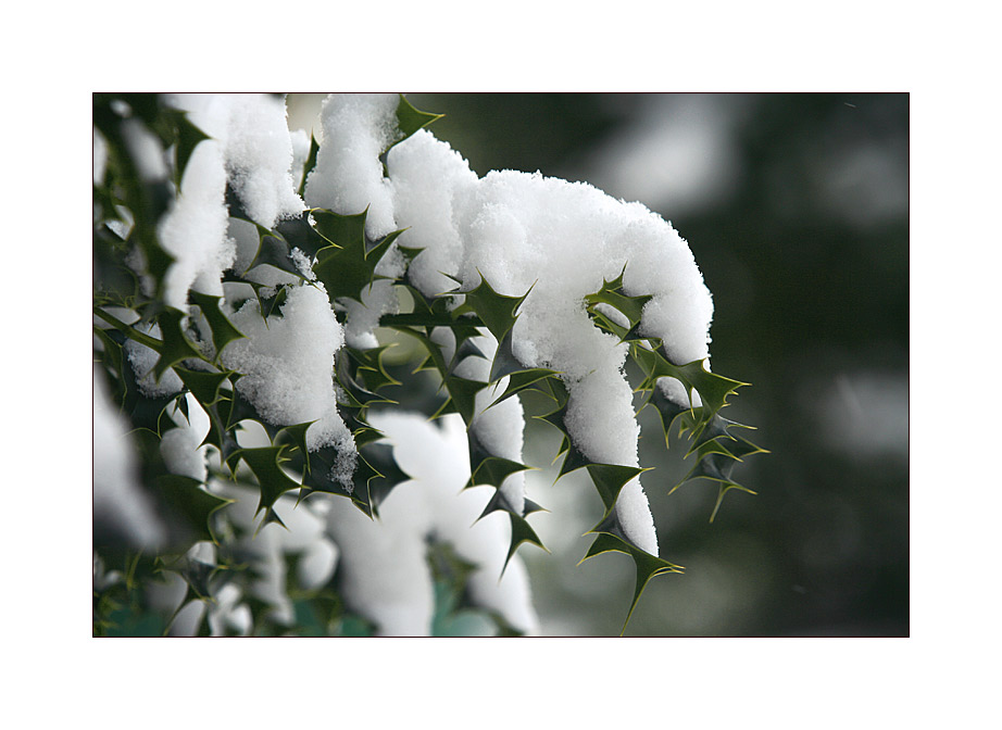 Eisiger Frühling