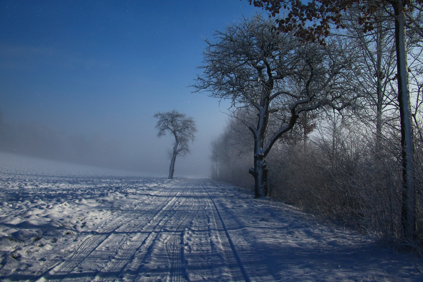 eisiger januartag