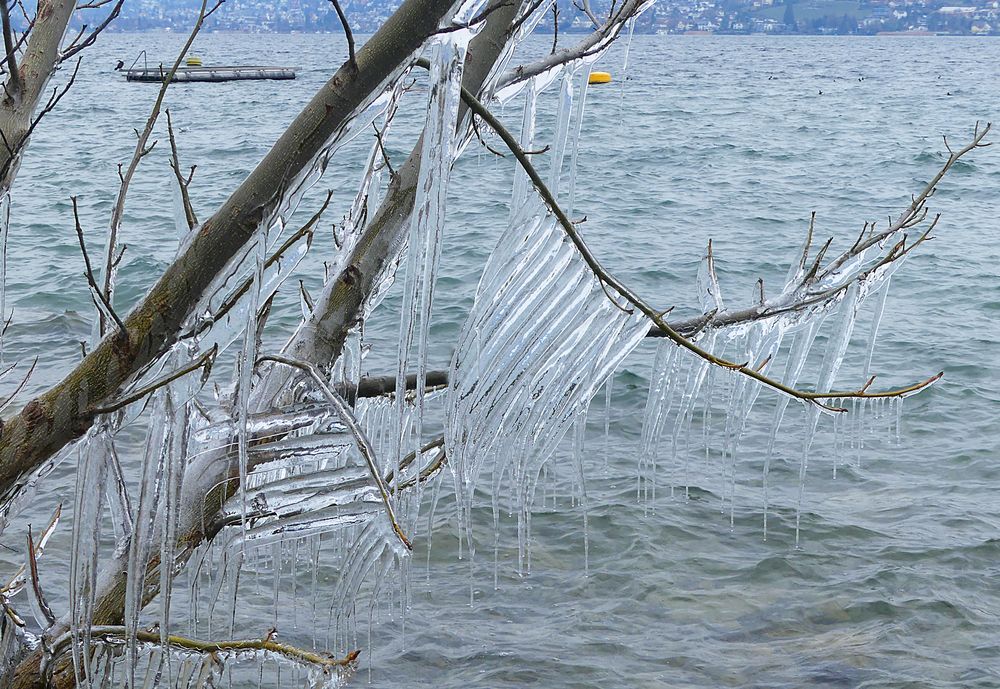 Eisiger letzter Februartag