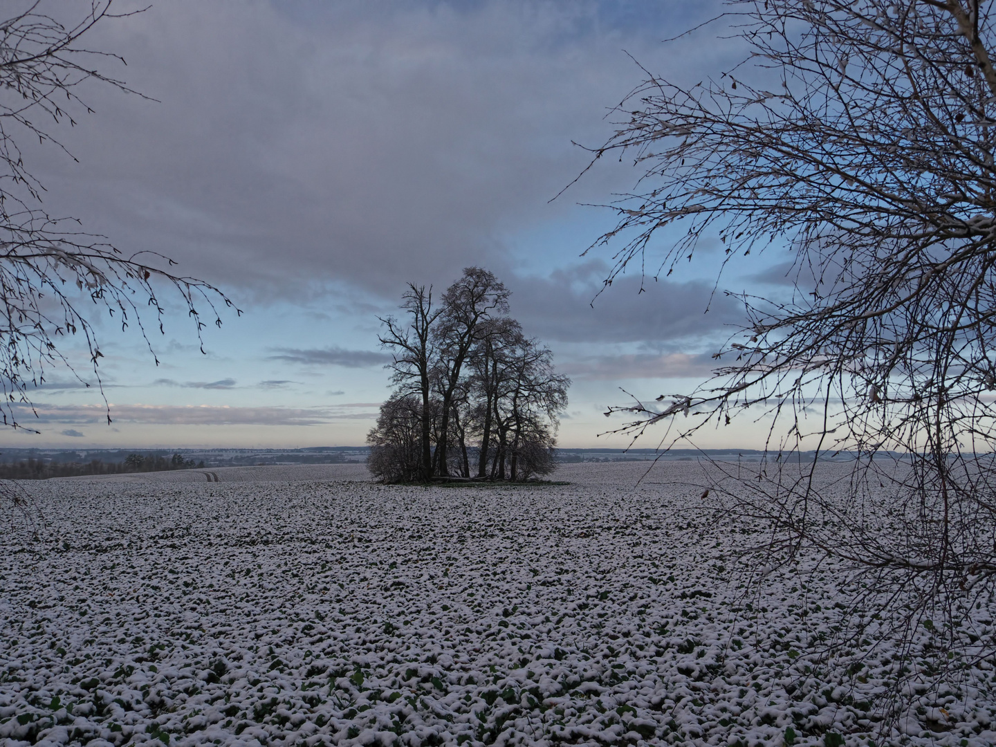 eisiger Morgen