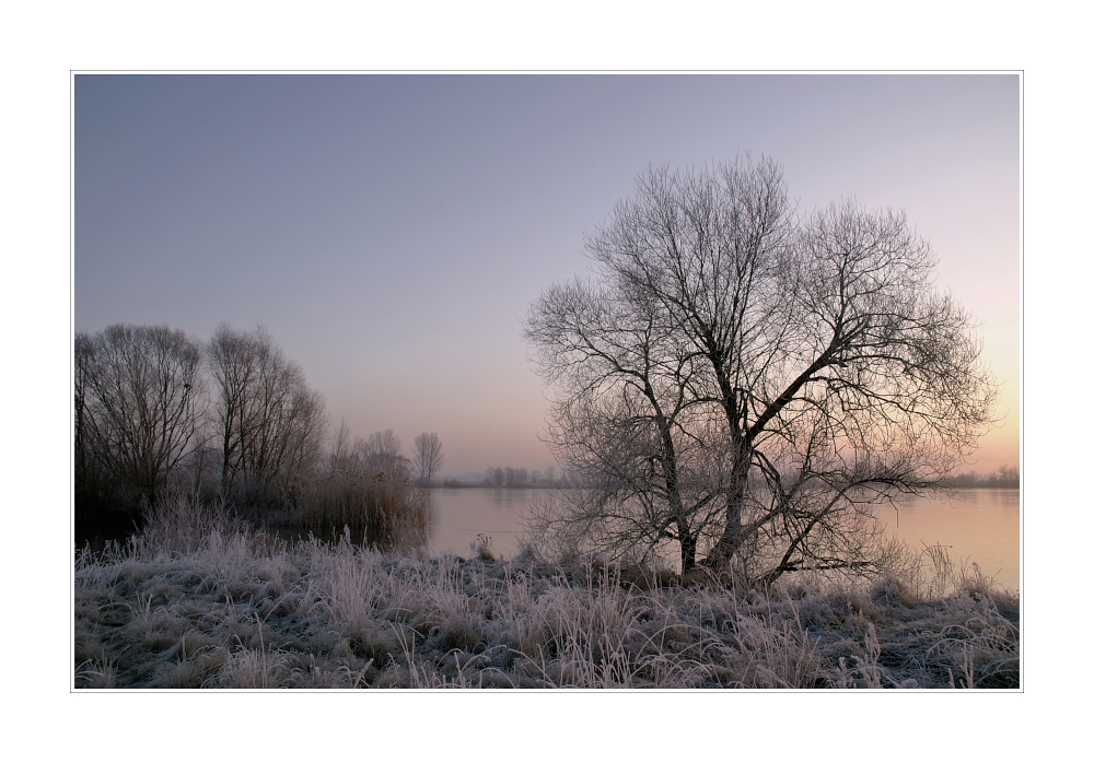 Eisiger Morgen am See